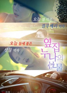 옆집 누나의 성물 (2019) 영화 다시보기