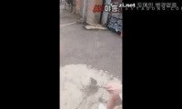 [동양야동] 중국야동 06